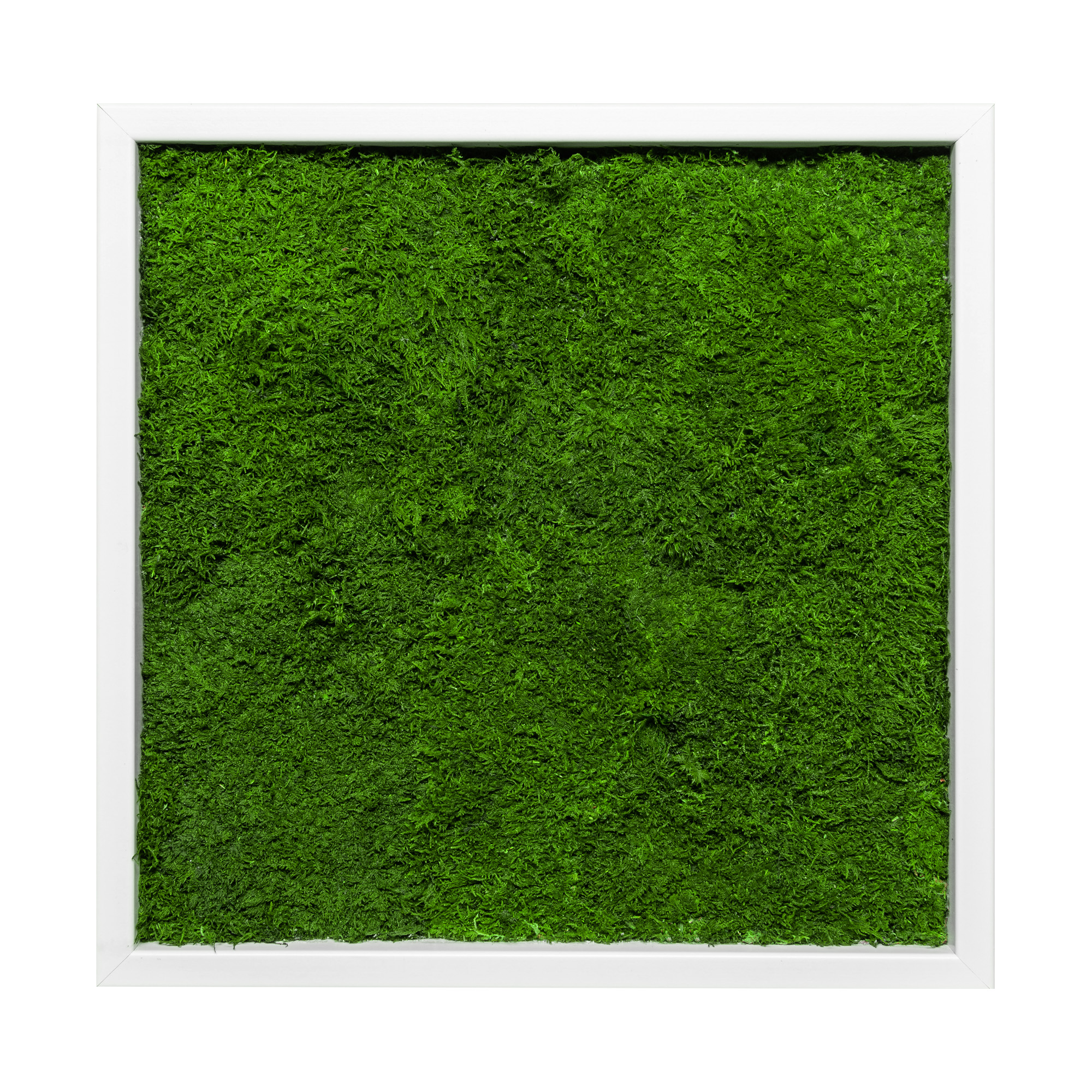 35x35_45x45_55x55_fla_wei_1