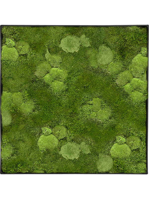 Moss Painting (5)