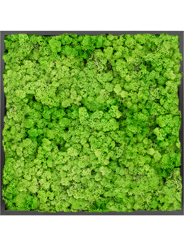 Moss Painting (6)