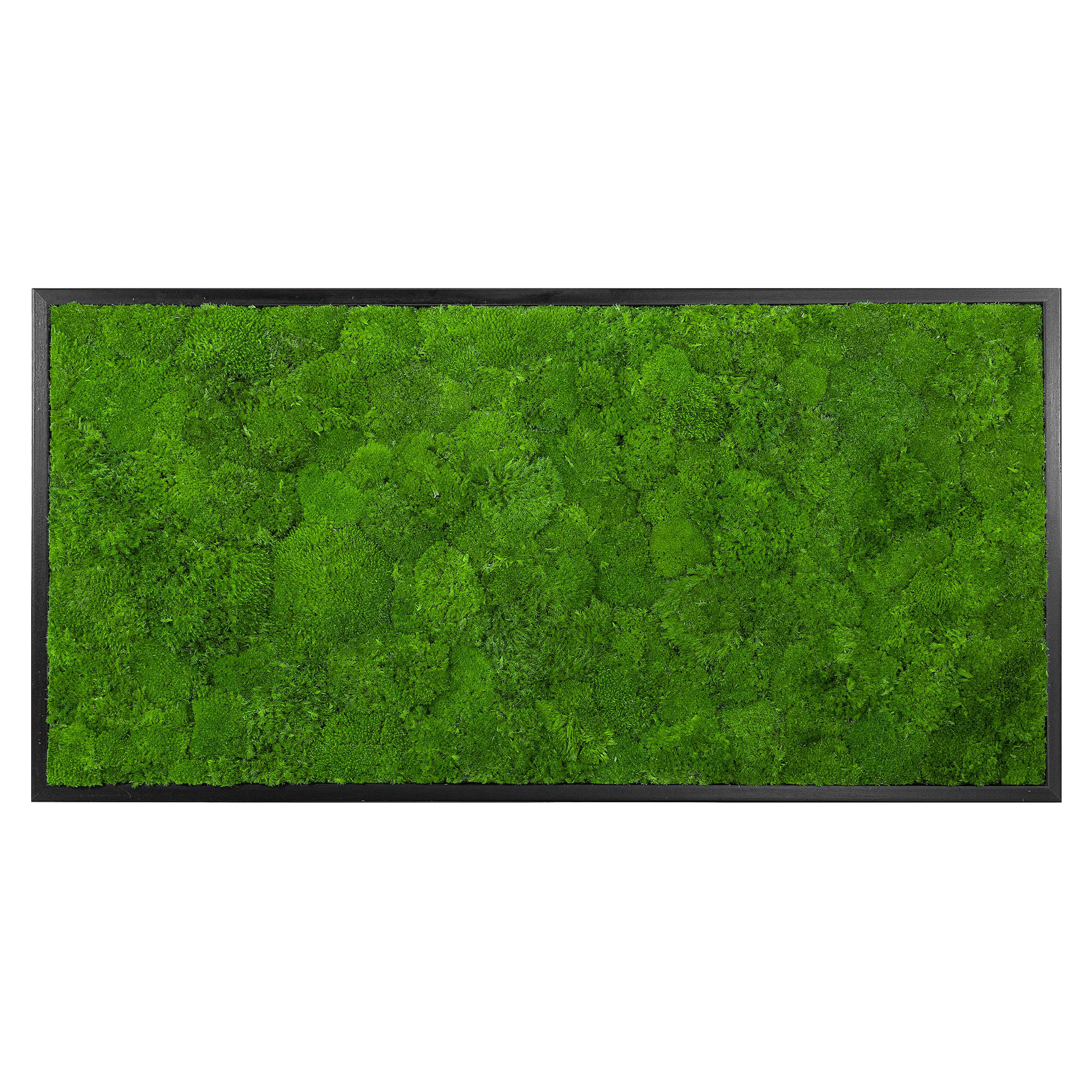 Wave_Design_110x55S_1_