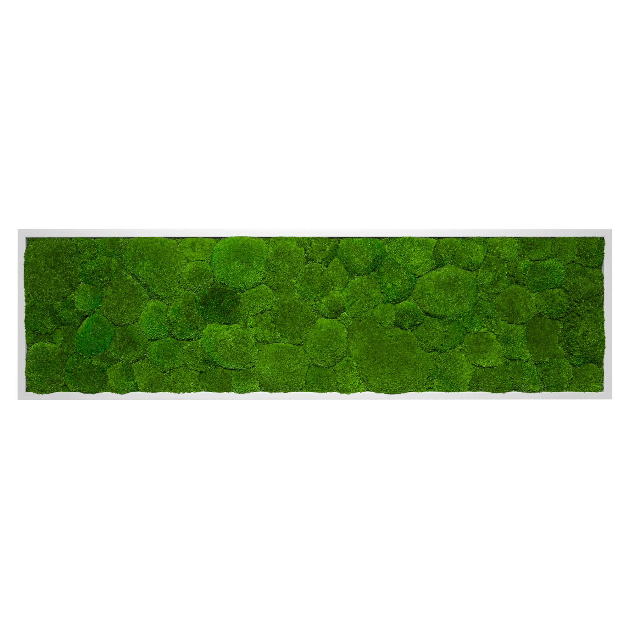 140x40_bal_wei_1