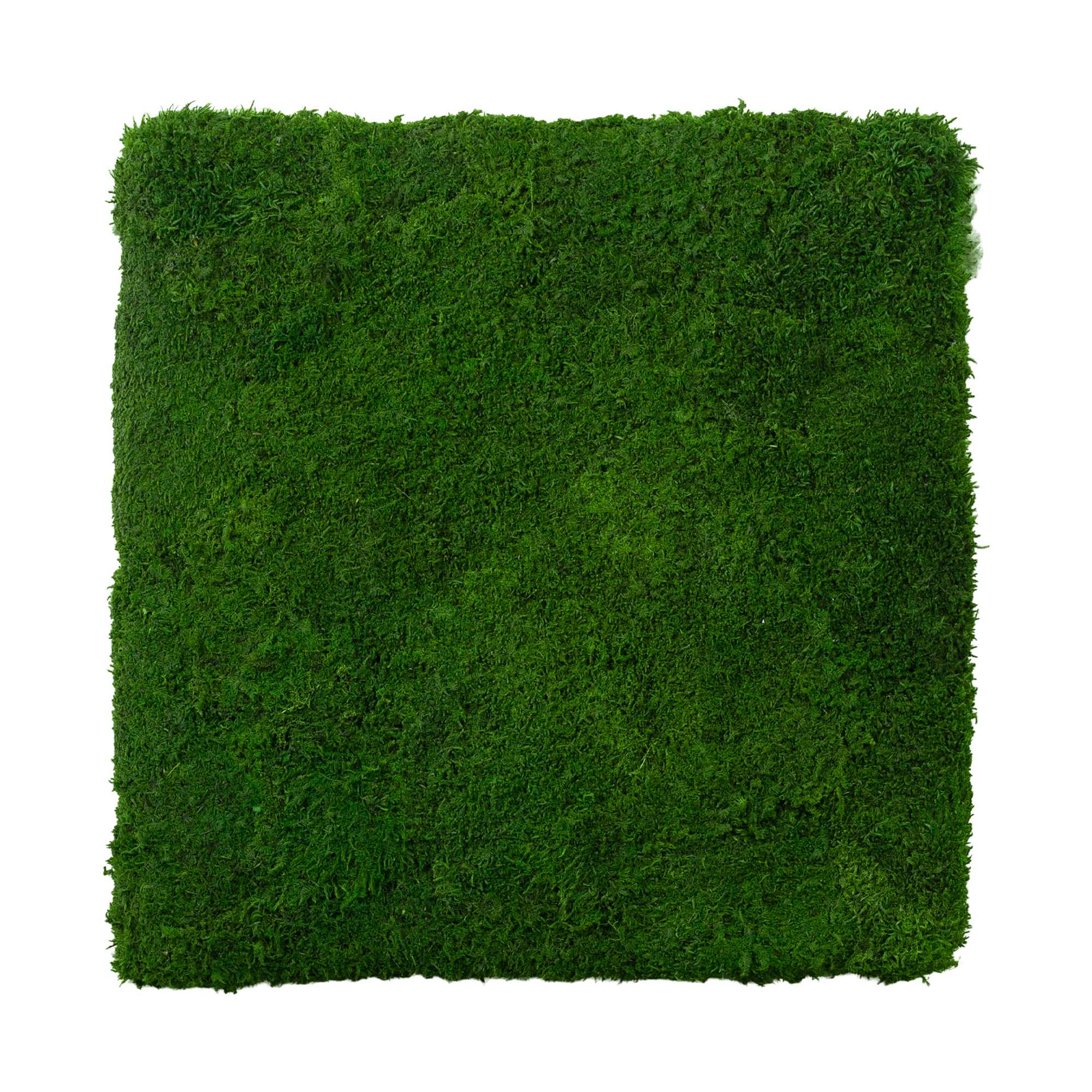 1-45x45-FLA-ORI_2