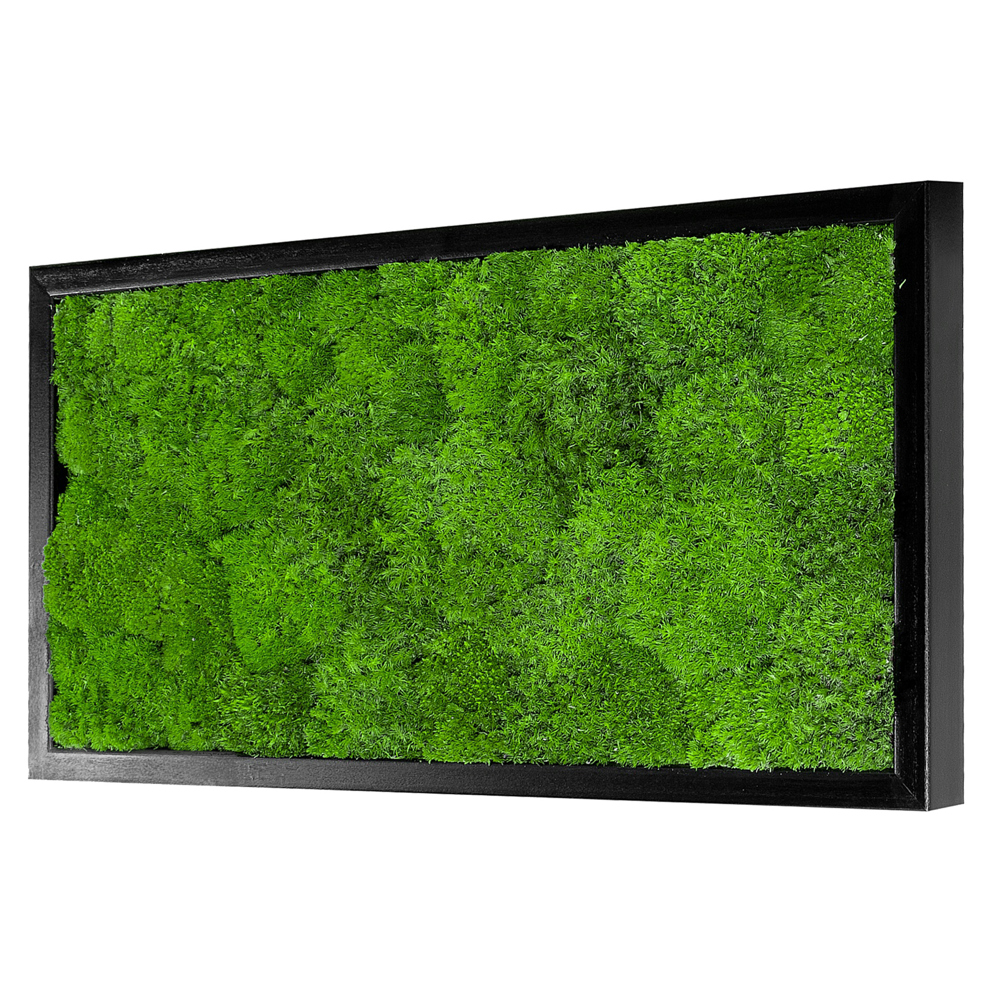 Wave_Design_60x30S_