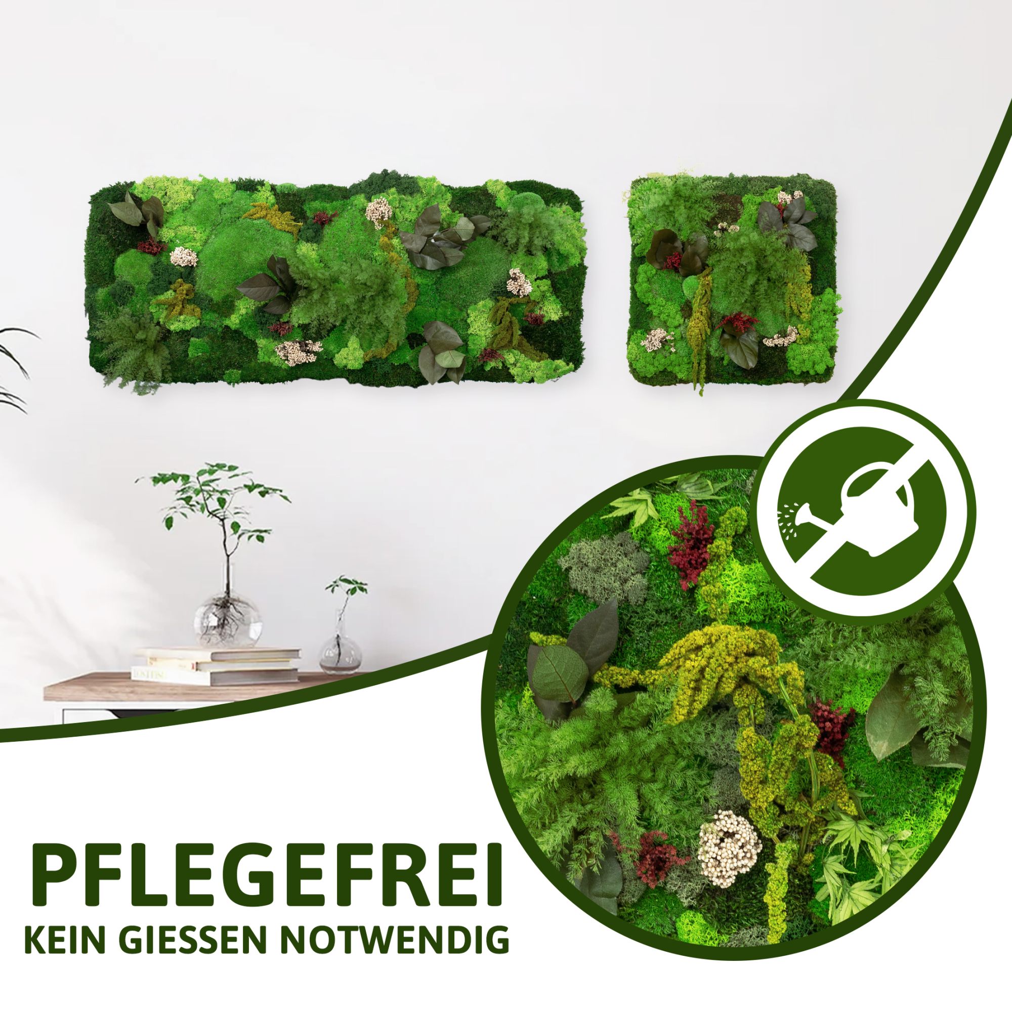 3-Plegefrei-DSC