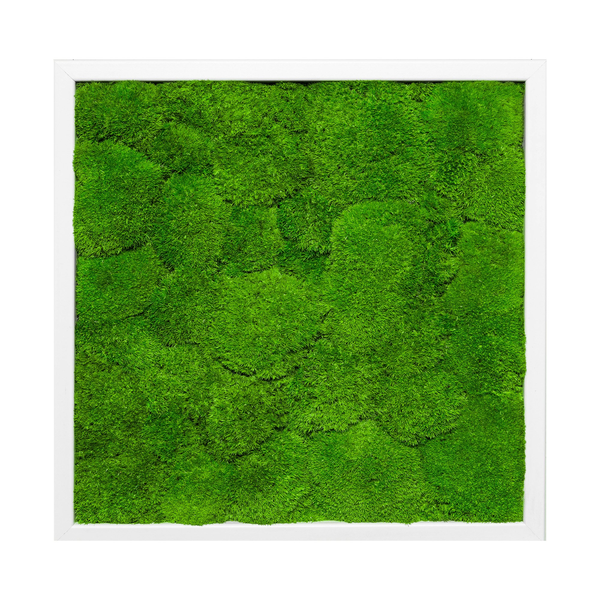 35x35_45x45_55x55_bal_wei_1