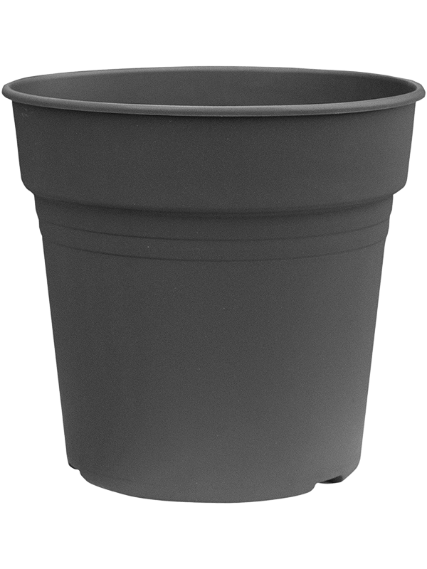 Cultivation Pot (20)