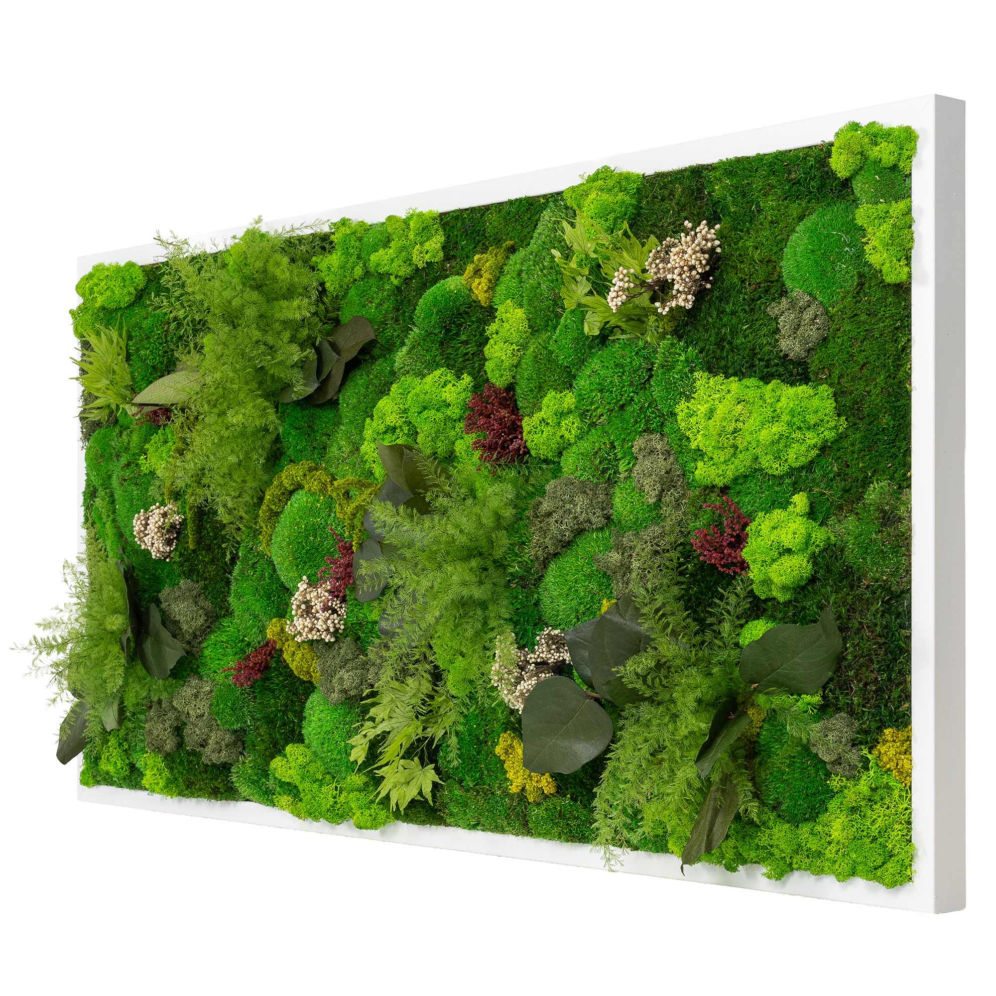 Moosbild Dschungel Design (110x55, weiß)