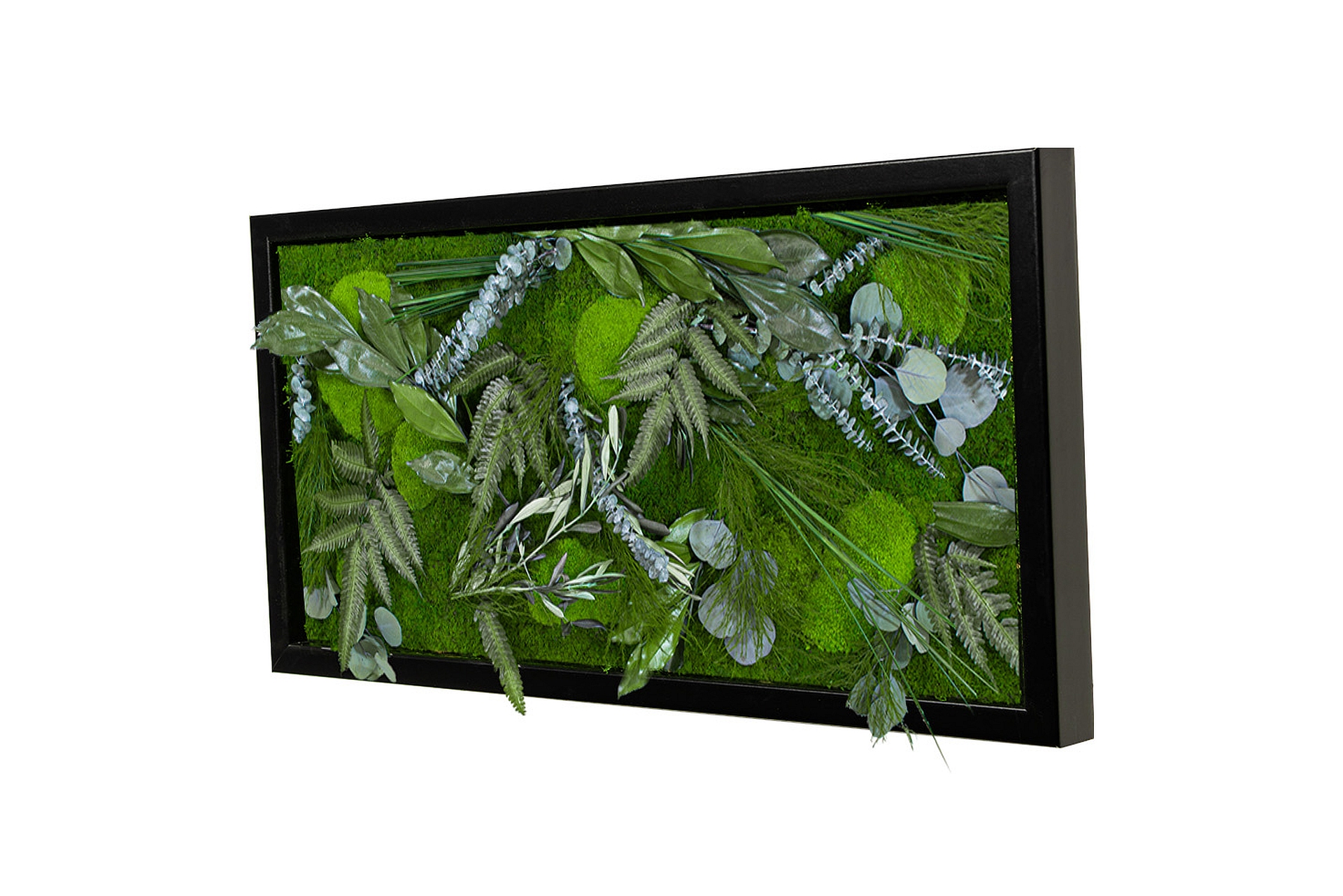 DschungelDesign60x30S_2