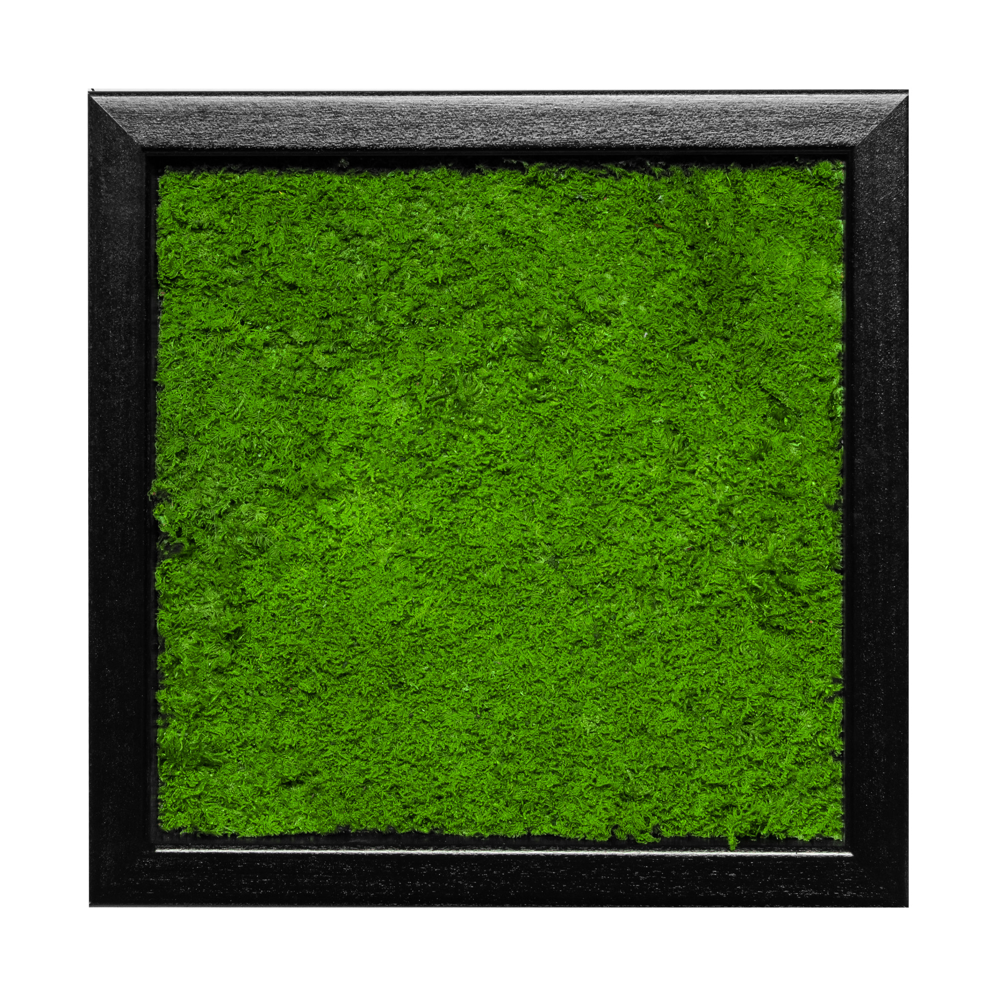 Moosbild Flat Design (25x25, schwarz)
