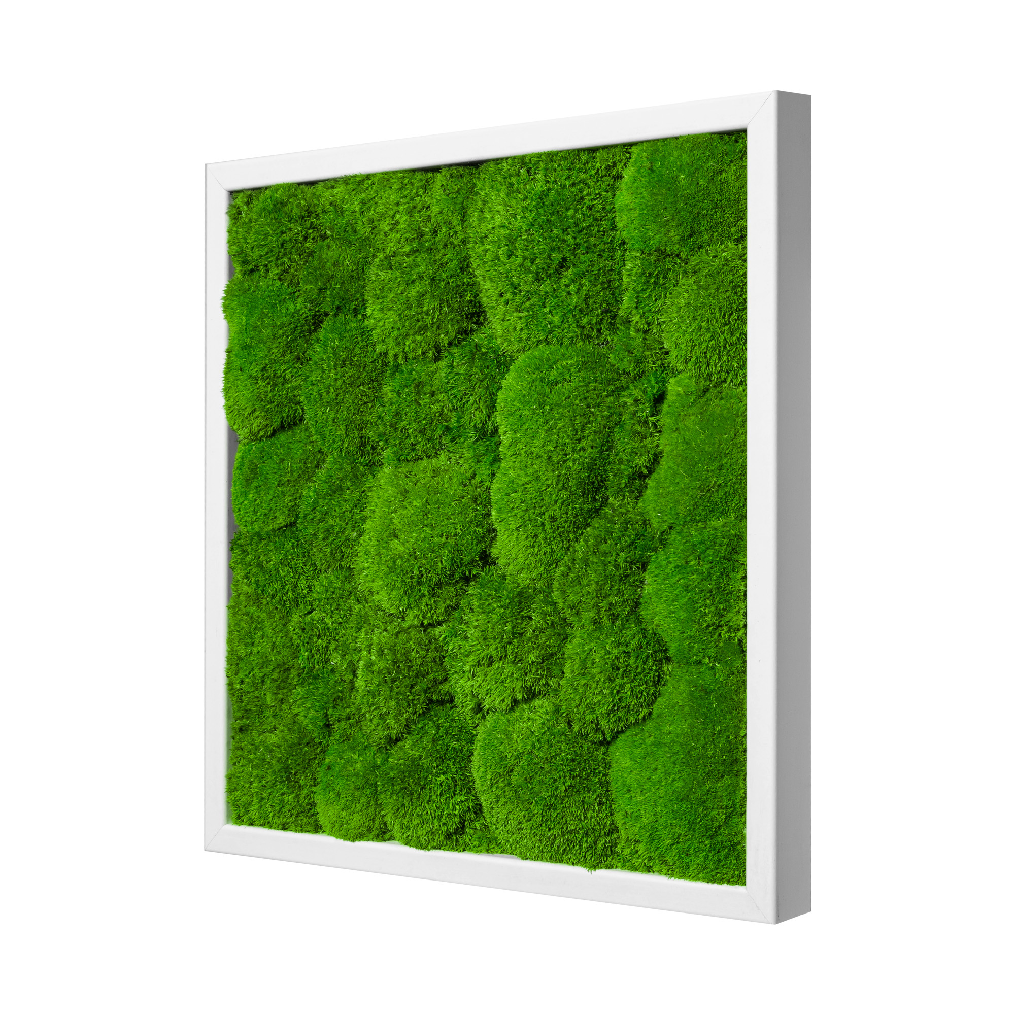 35x35_45x45_55x55_bal_wei