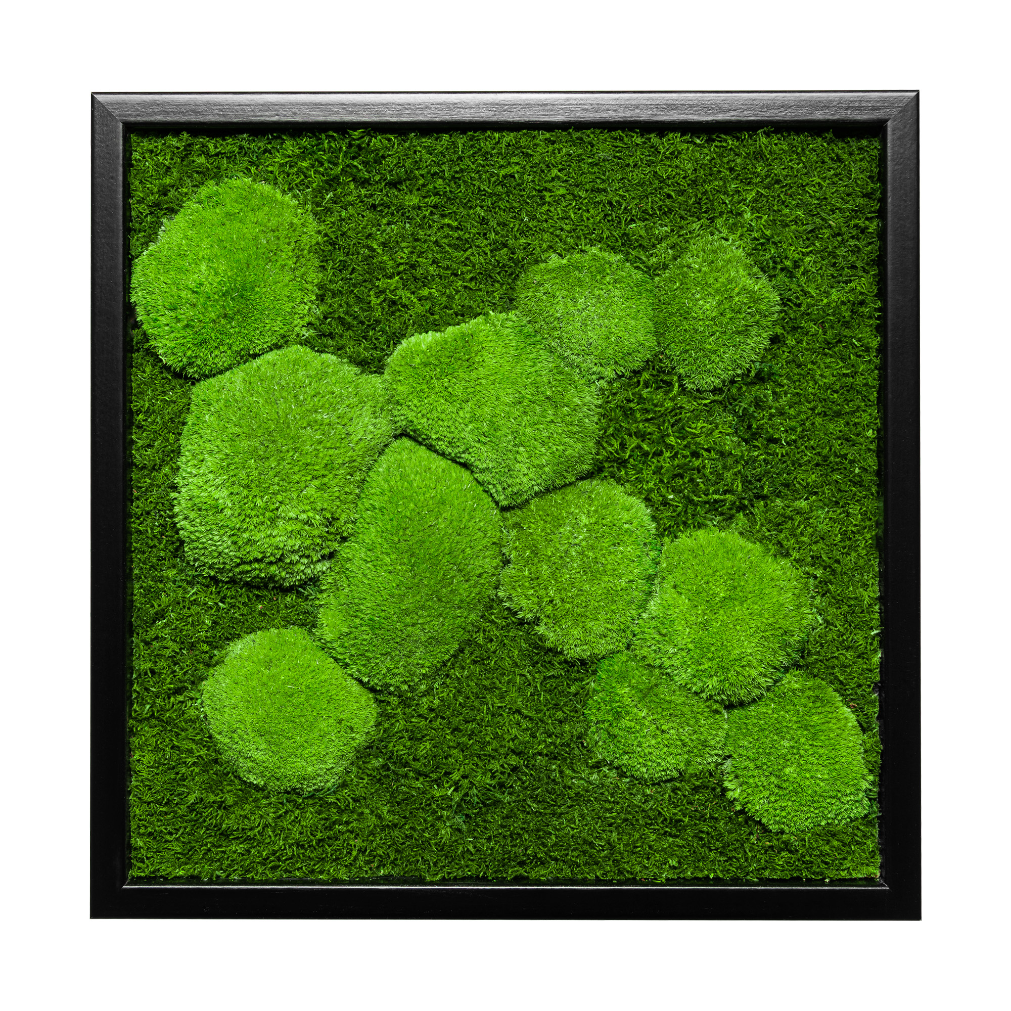 35x35_45x45_55x55_fif_sch_1