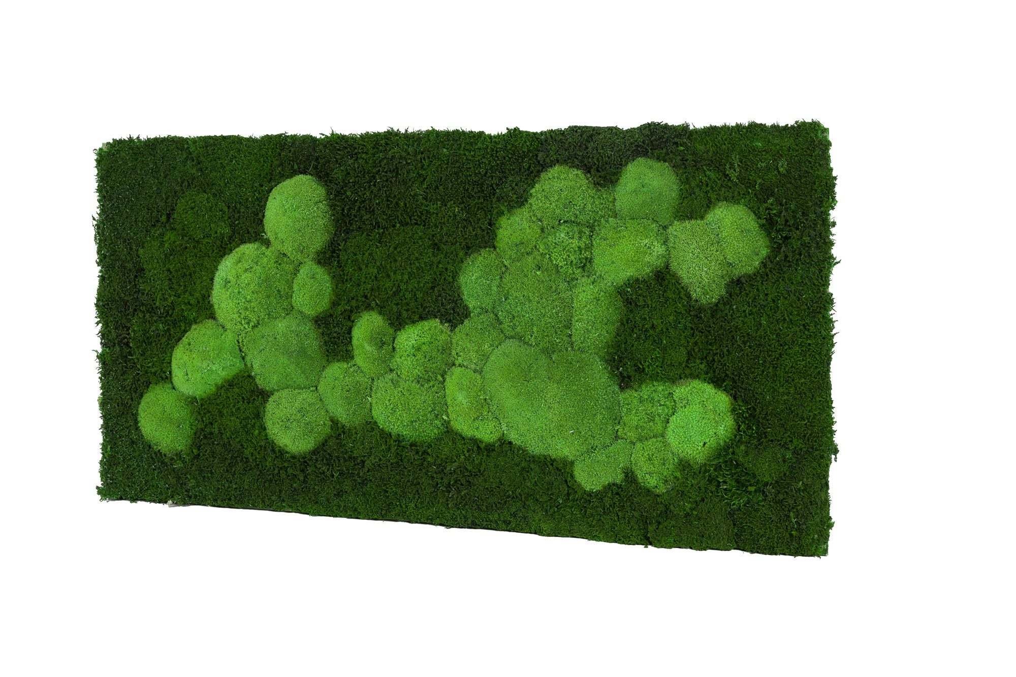 5_RET_2_100x50-FIF-MDF
