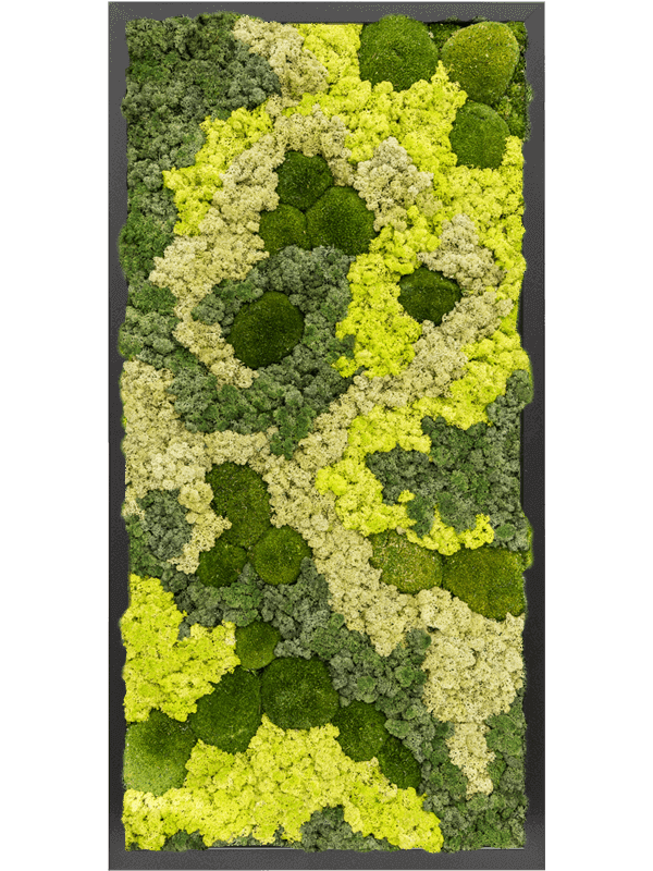 Moss Painting (6)