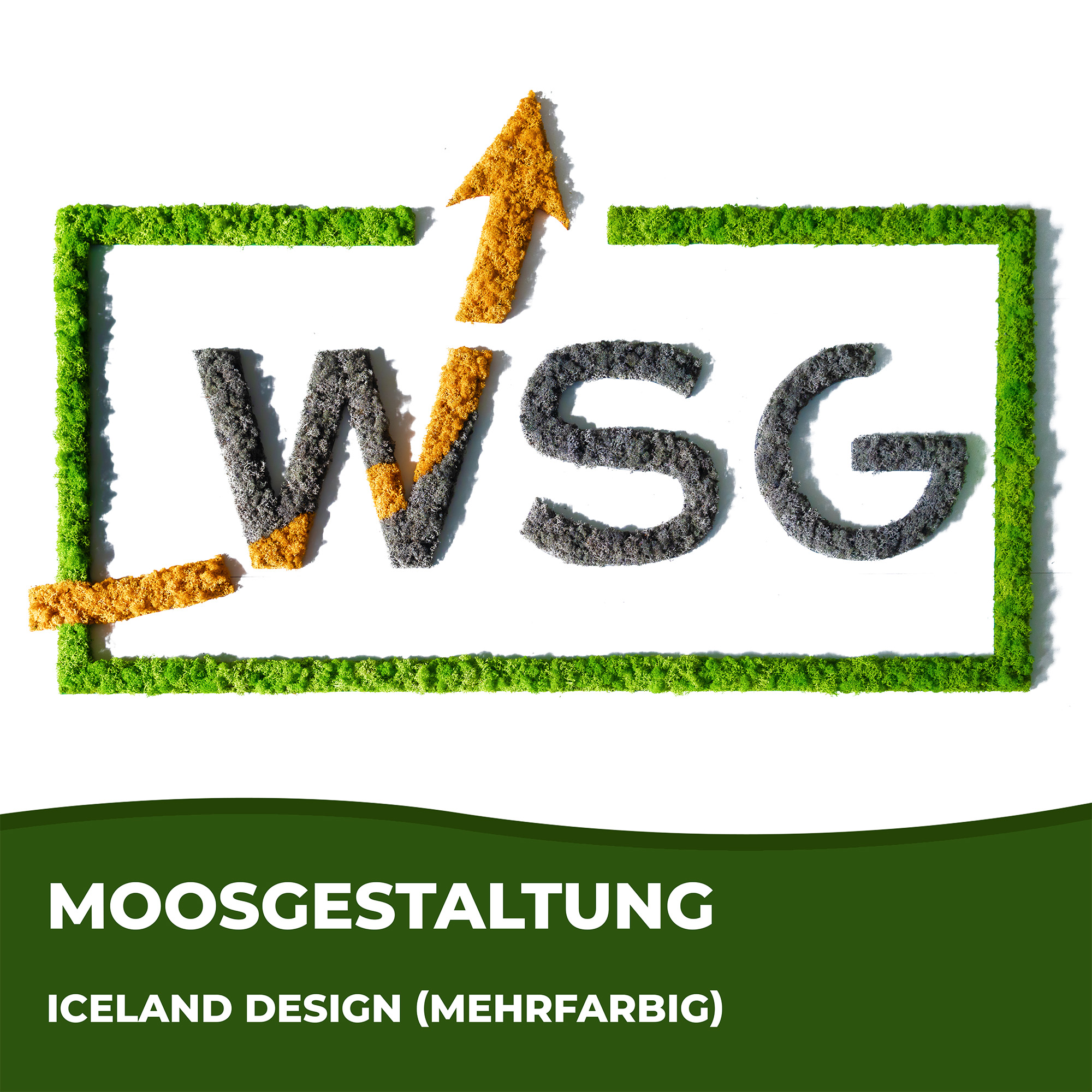 WSG Logo