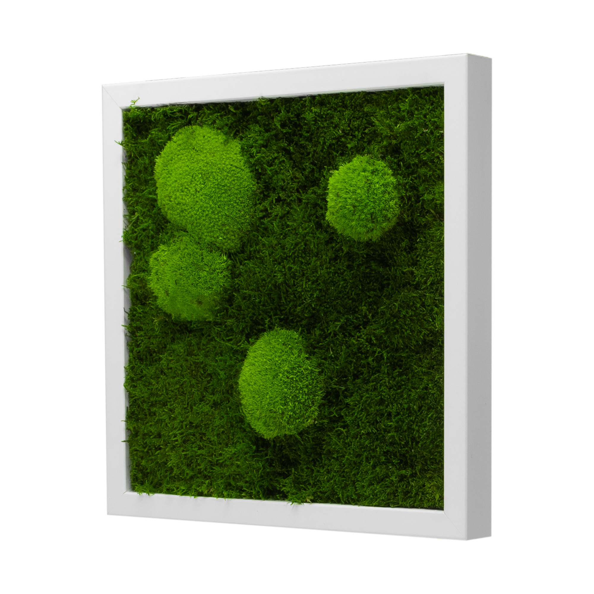 Moosbild Forest Design (25x25, weiß)