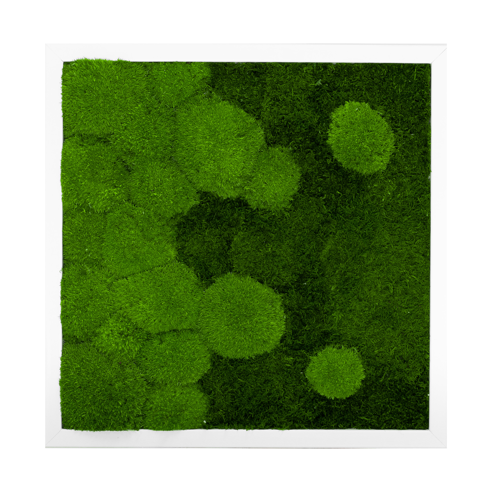RIV_45x45W_1_