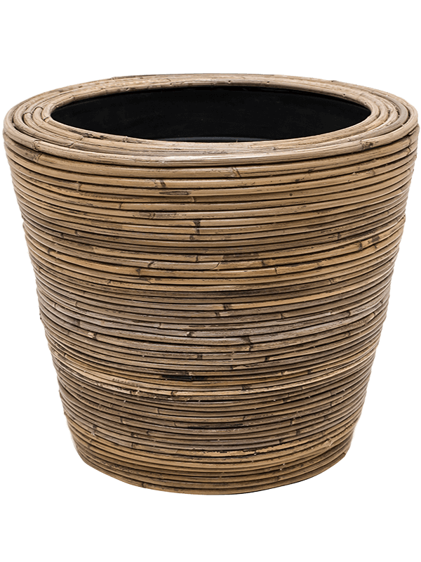 Drypot Rattan Stripe (33.5)