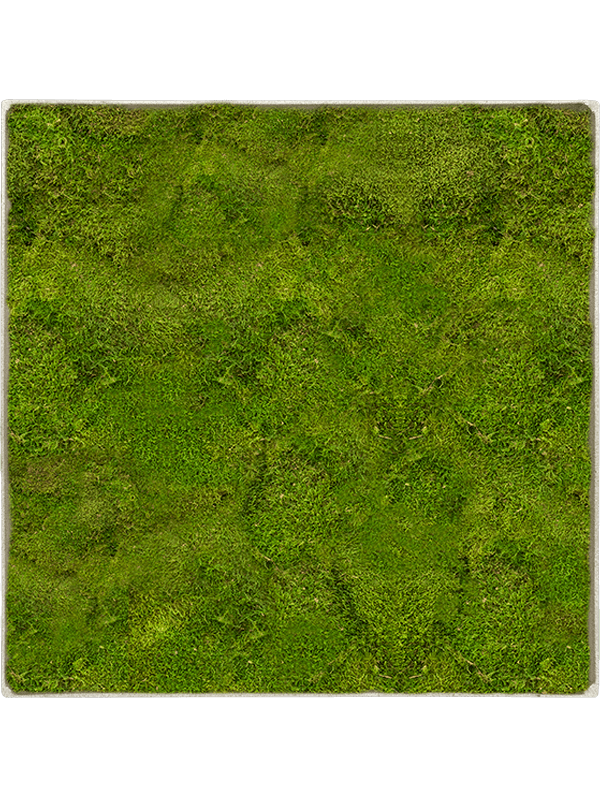 Moss Painting (5)