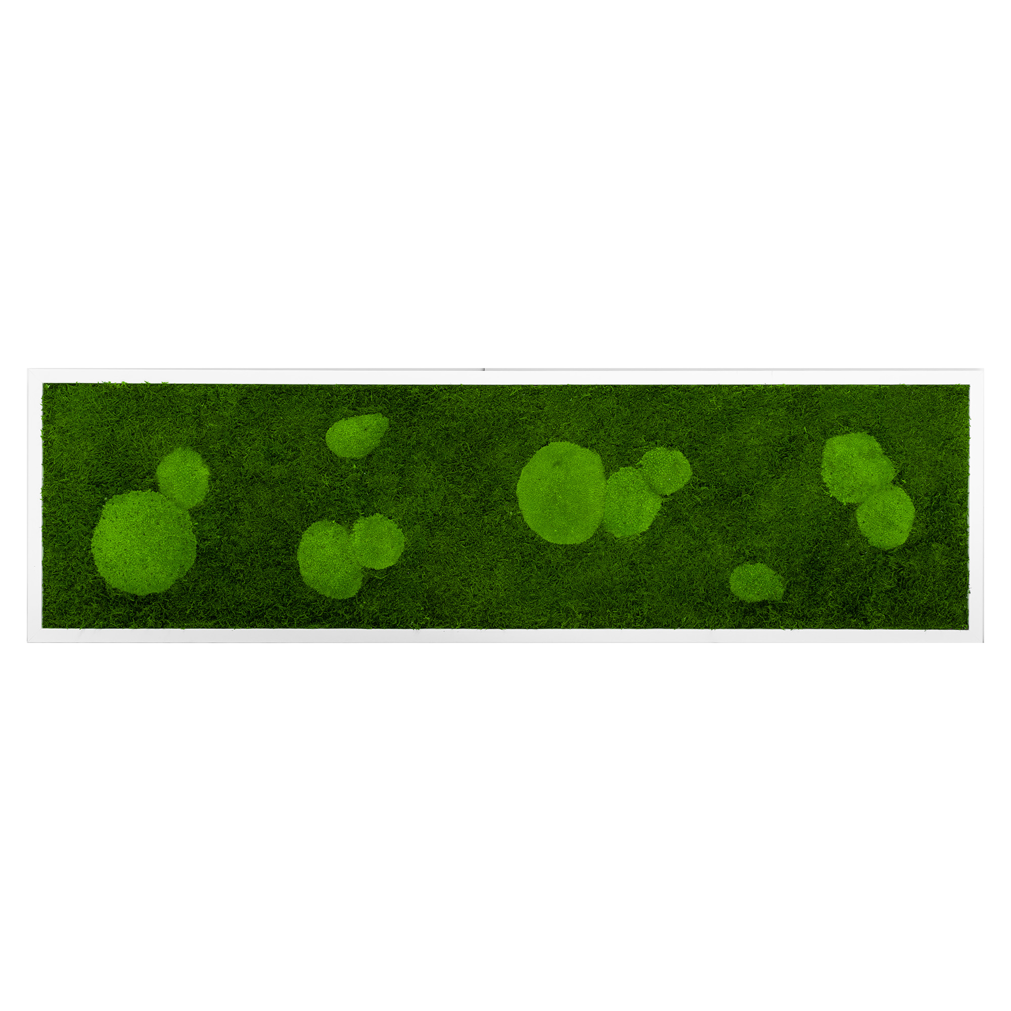 FOR_140x40W_1_