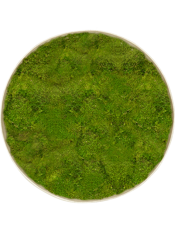 Moss Painting (5)