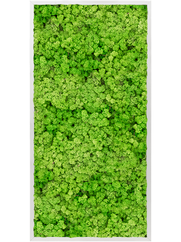 Moss Painting (6)
