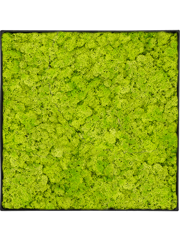 Moss Painting (5)