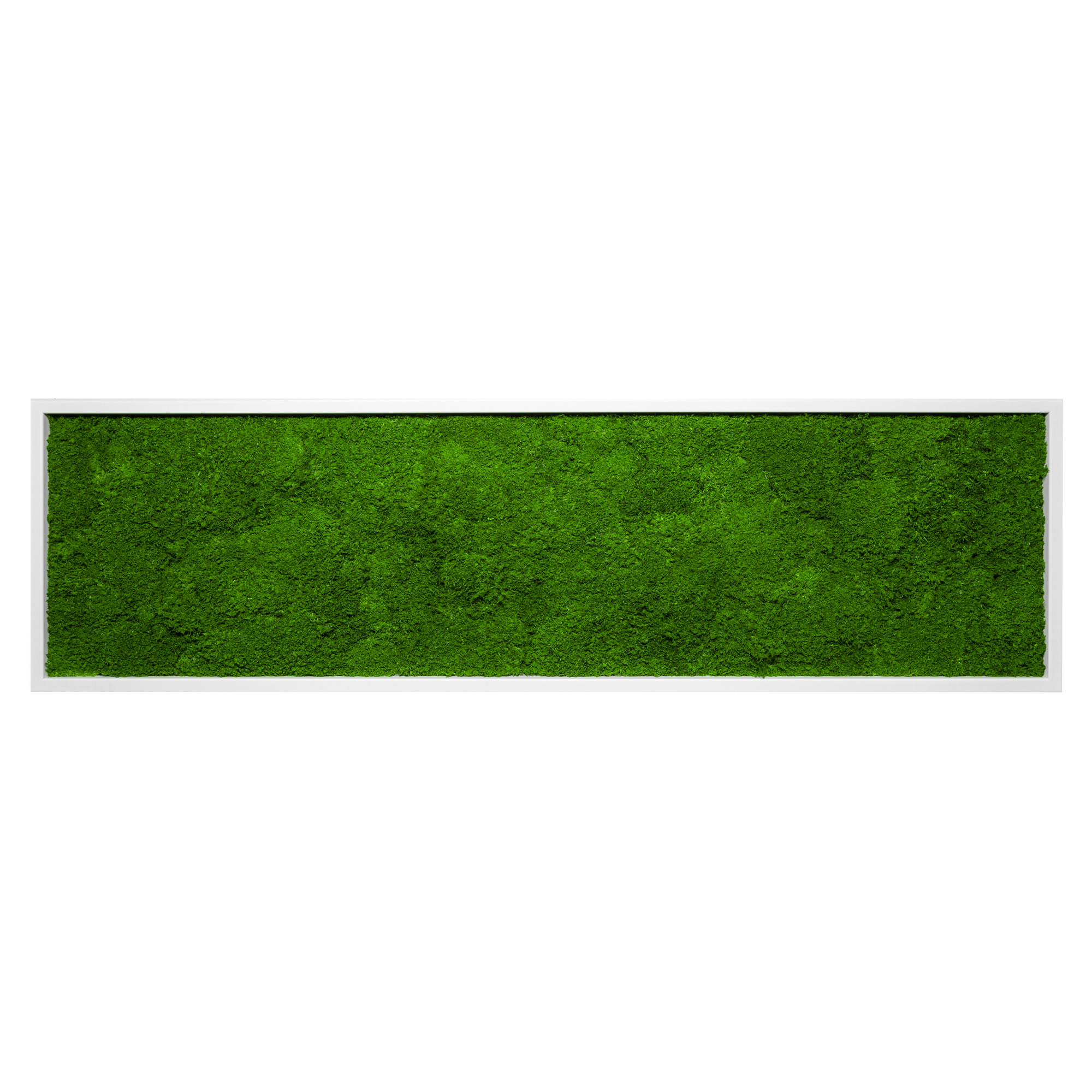 140x40_fla_wei_1