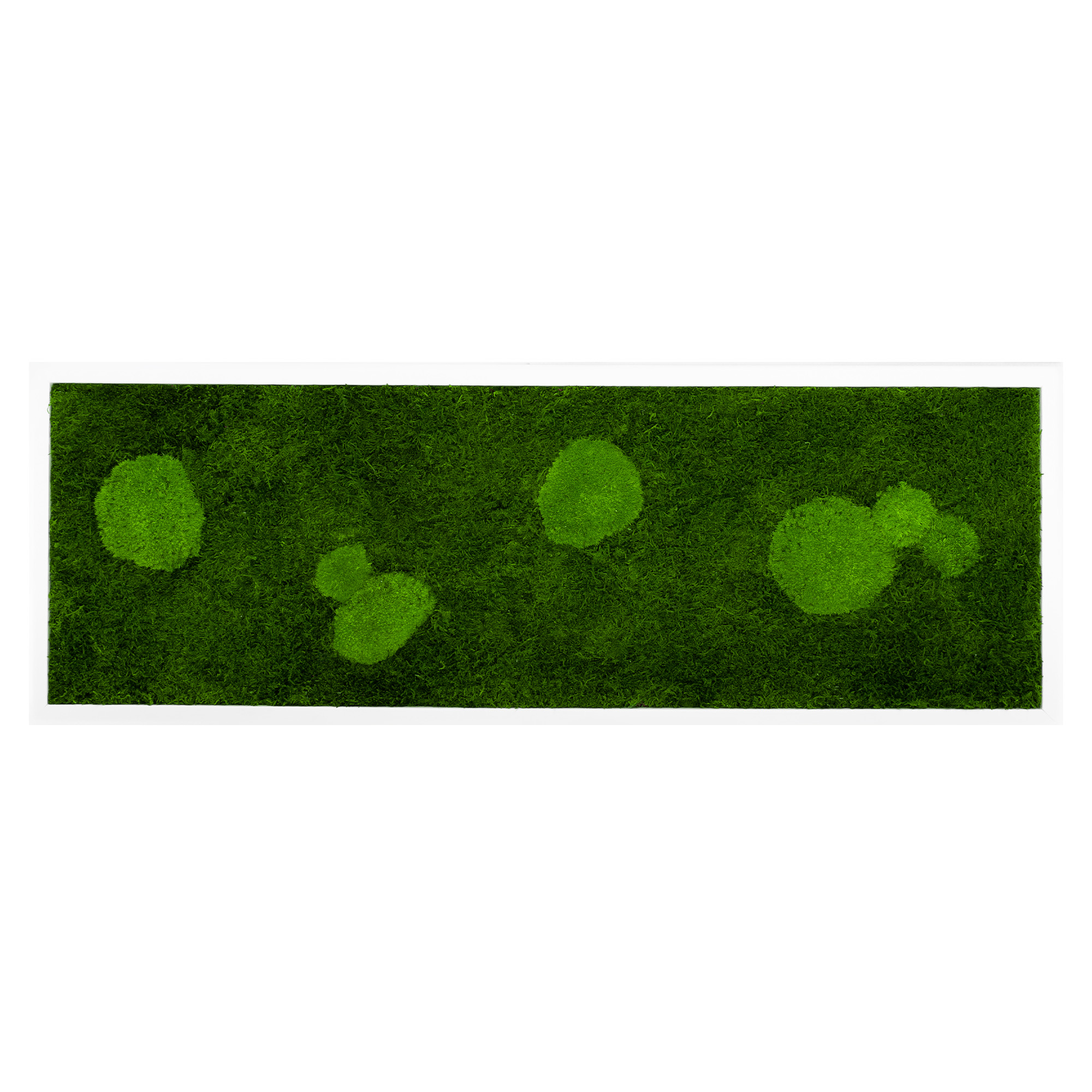 FOR_100x35W_1_