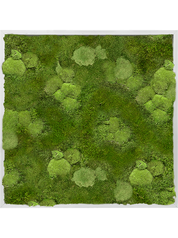 Moss Painting (6)