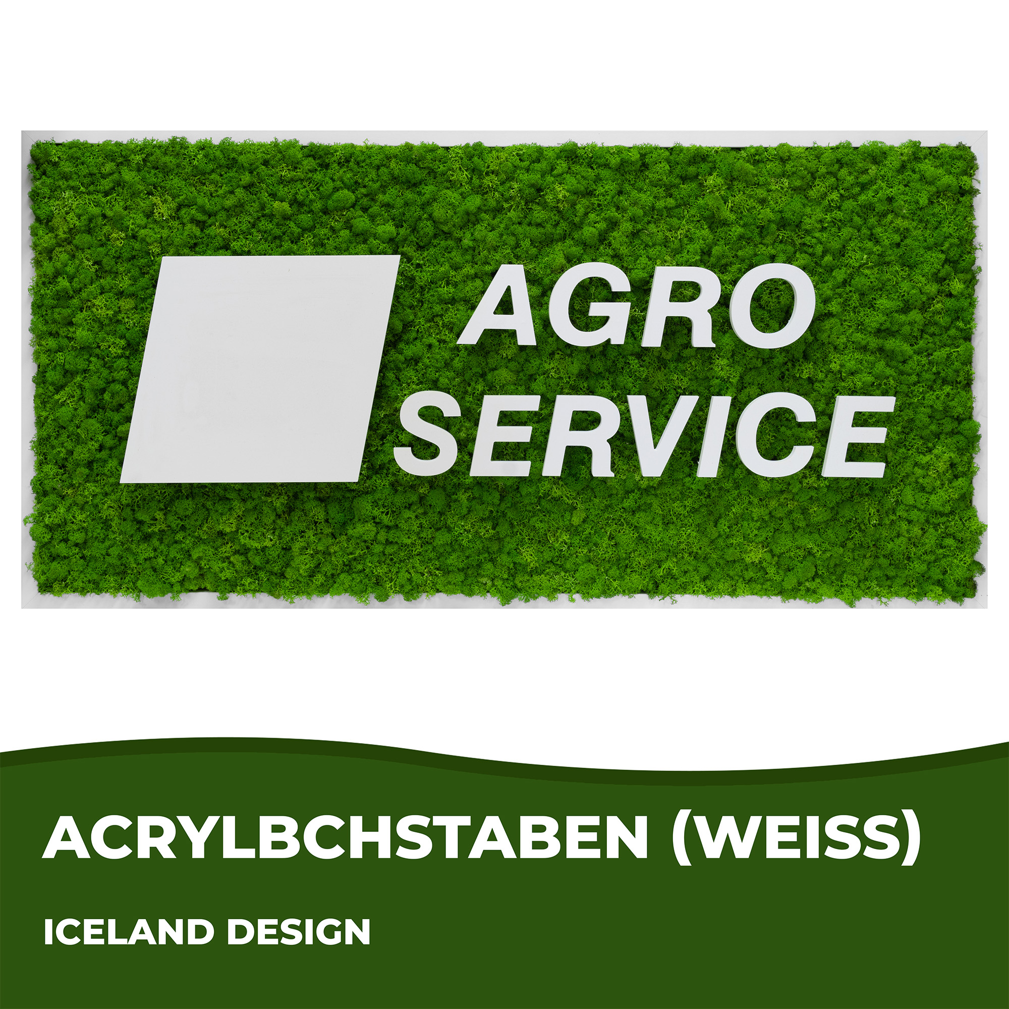 AGRO-SERVICE LOGO
