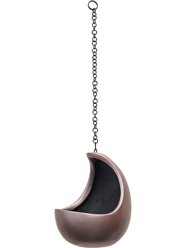 Baq Gradient (24)