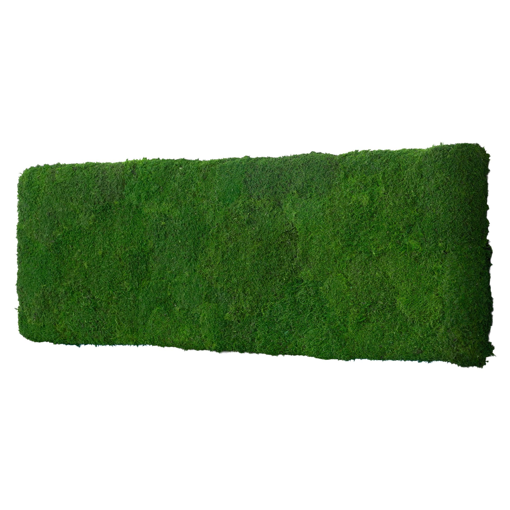 1-100x35-FLA-ORI_1