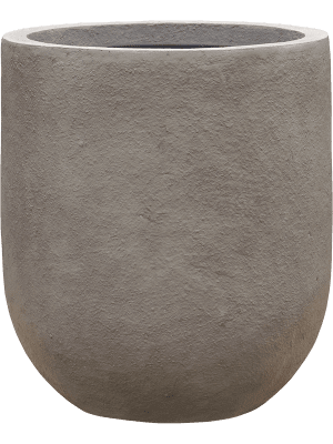 6NUCCEG31-medium
