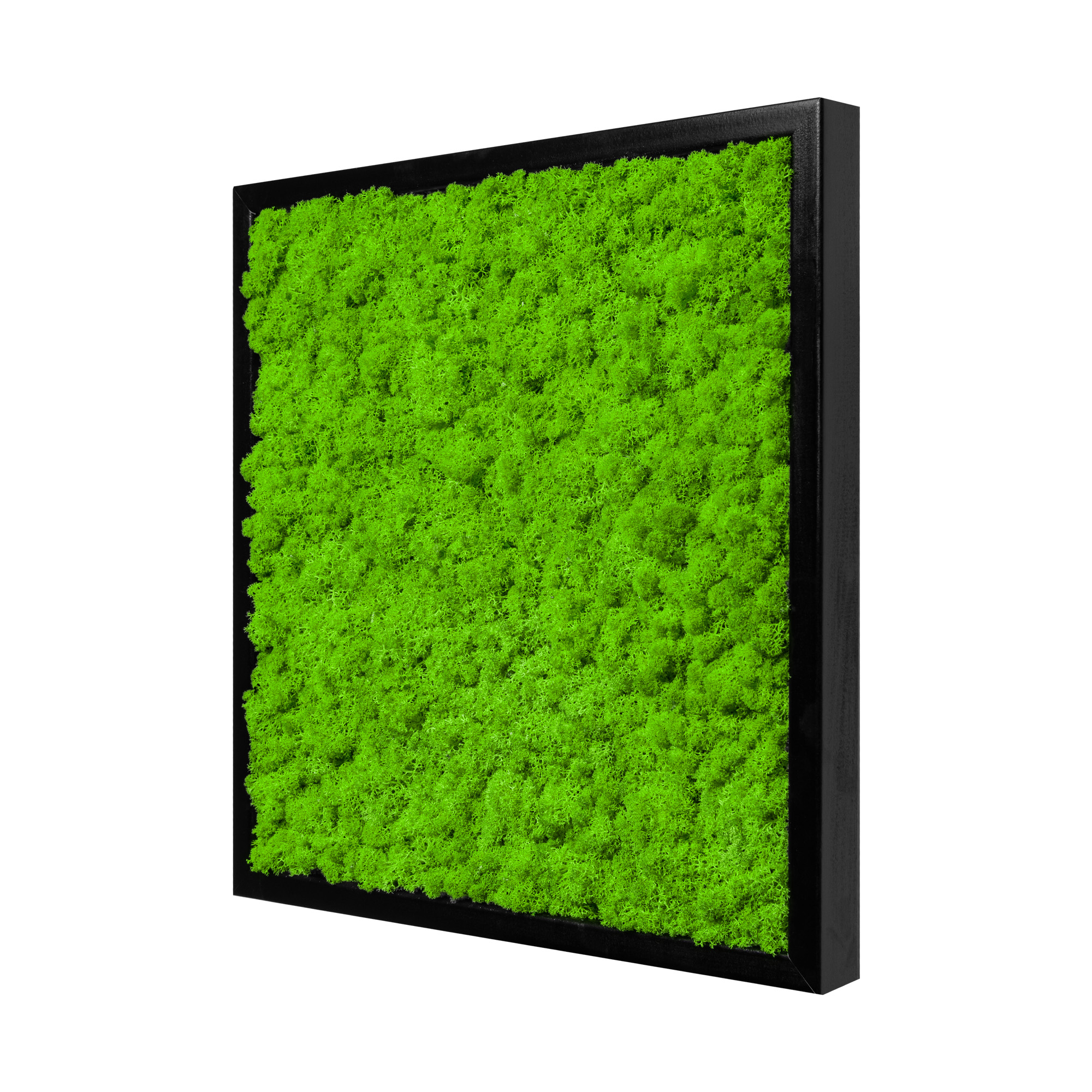 35x35_45x45_55x55_isl_sch