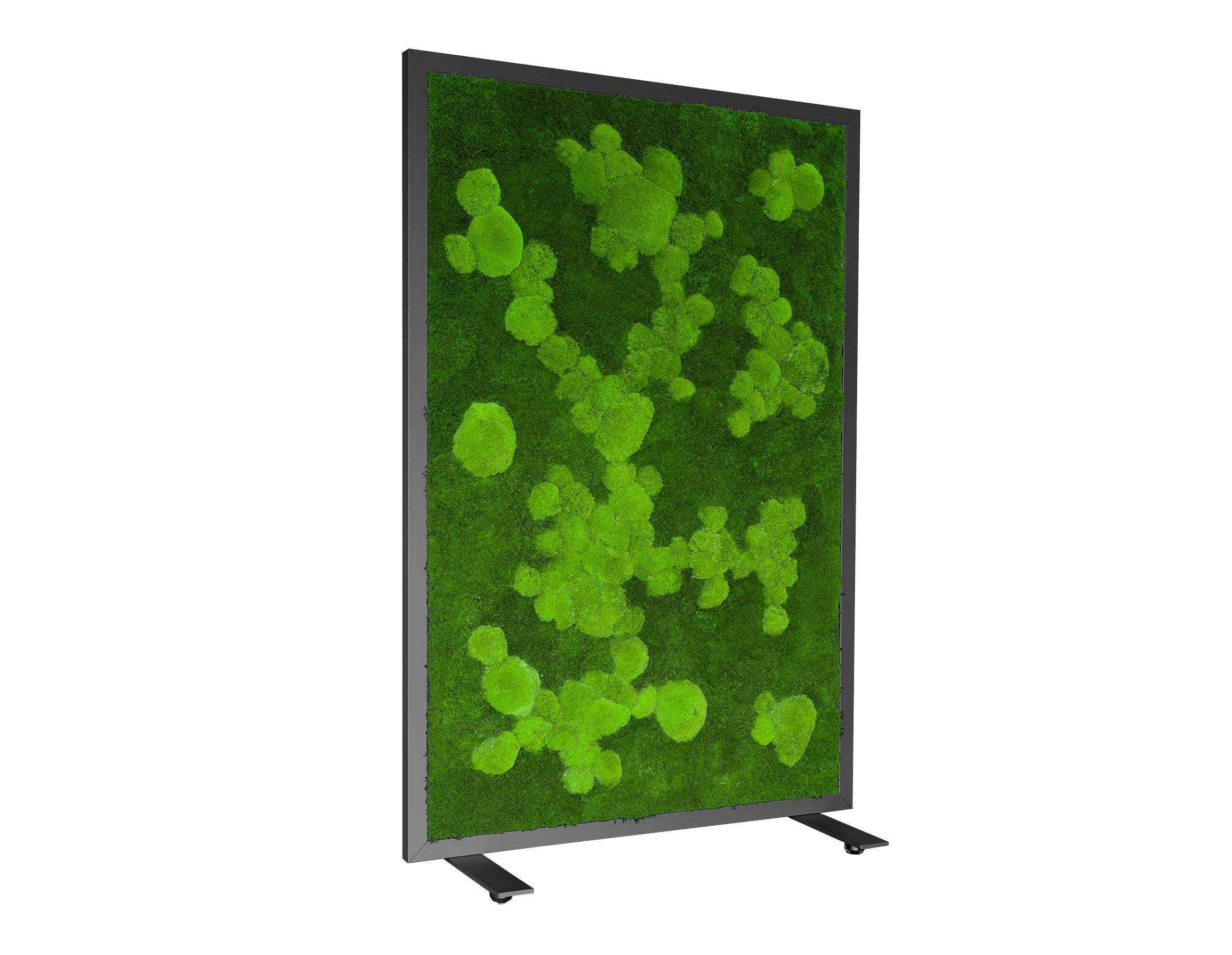 Trennwand_Kugelmoos_Flachmoos_anthariz_rahmen