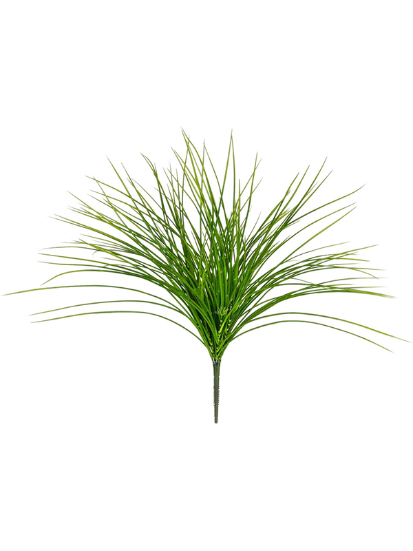 Grass (56)