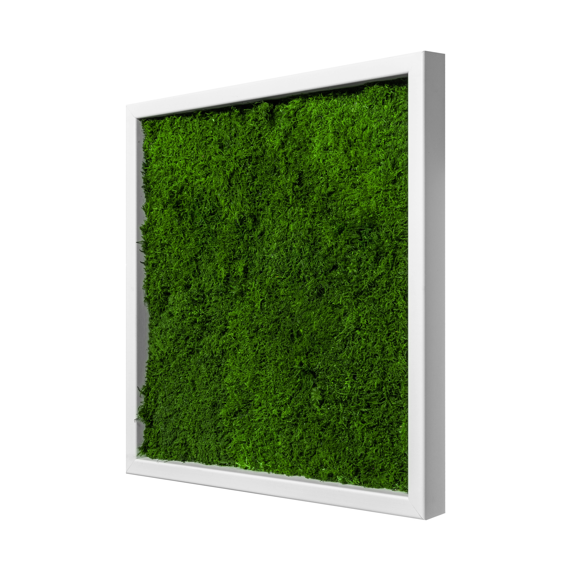 35x35_45x45_55x55_fla_wei