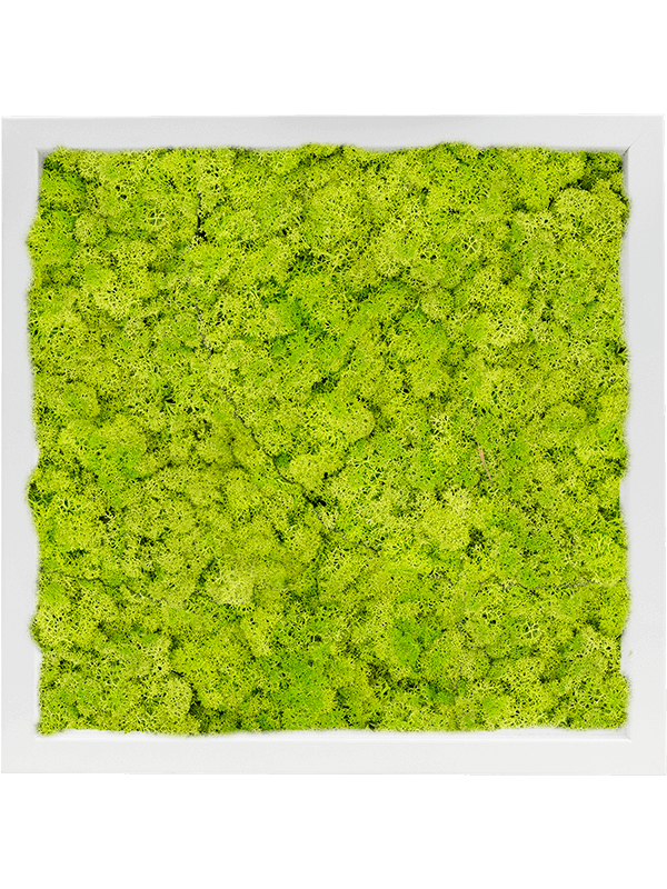 Moss Painting (6)