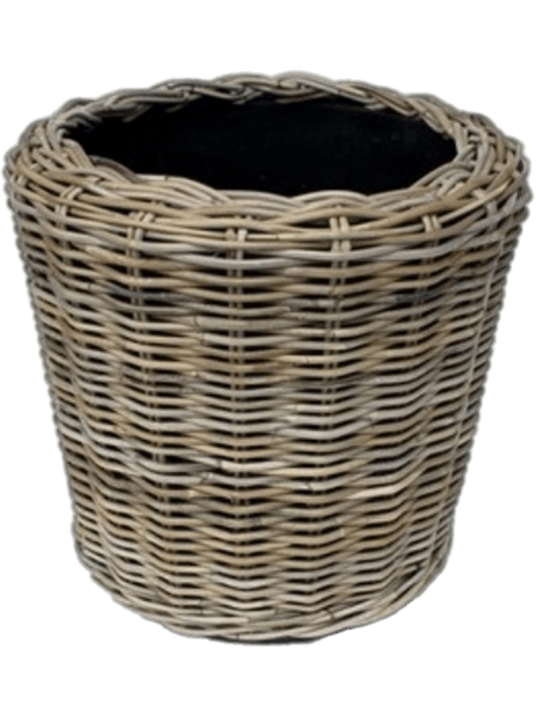 Drypot Rattan (30)