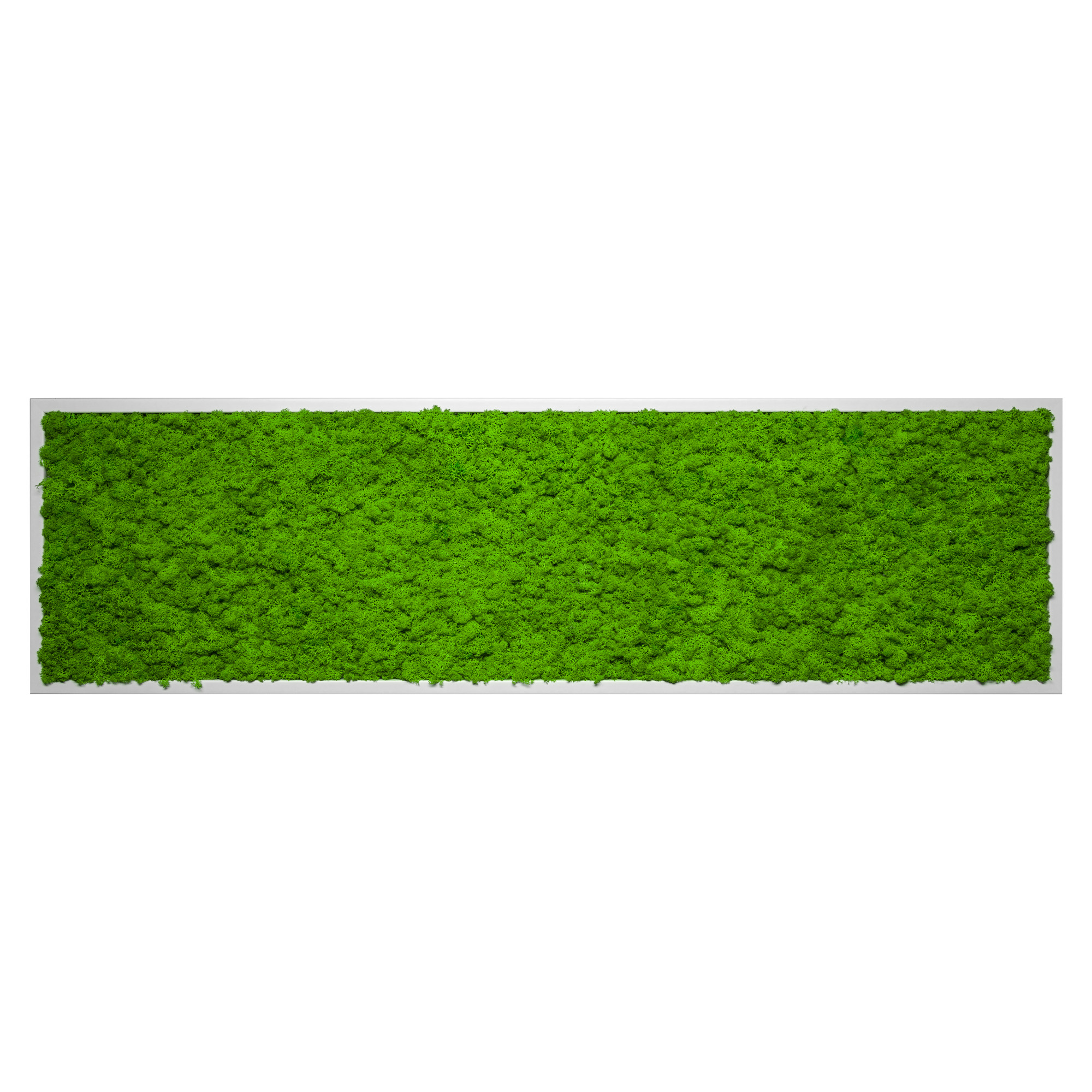 140x40_isl_wei_1