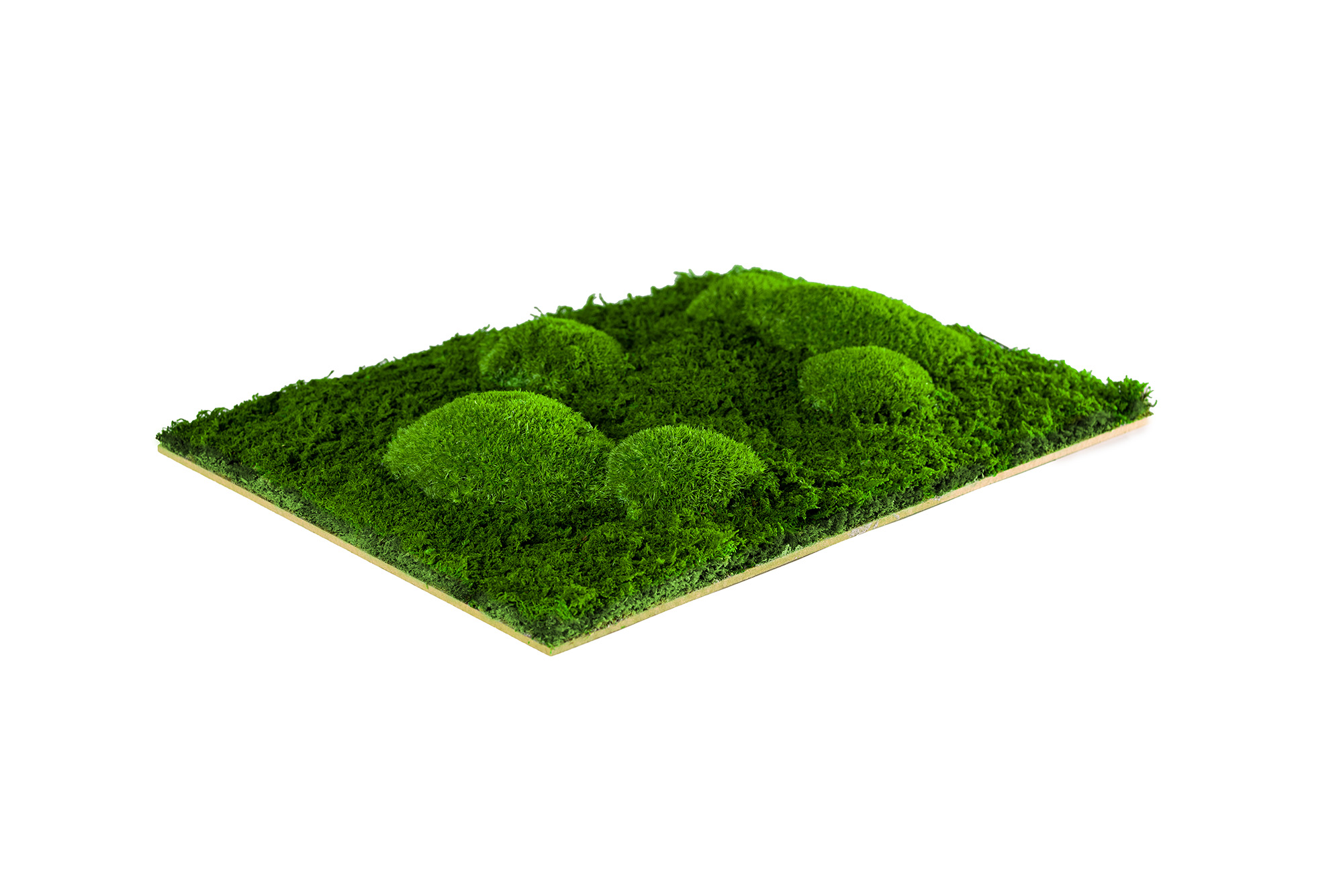 Muster_GemischtesMoos