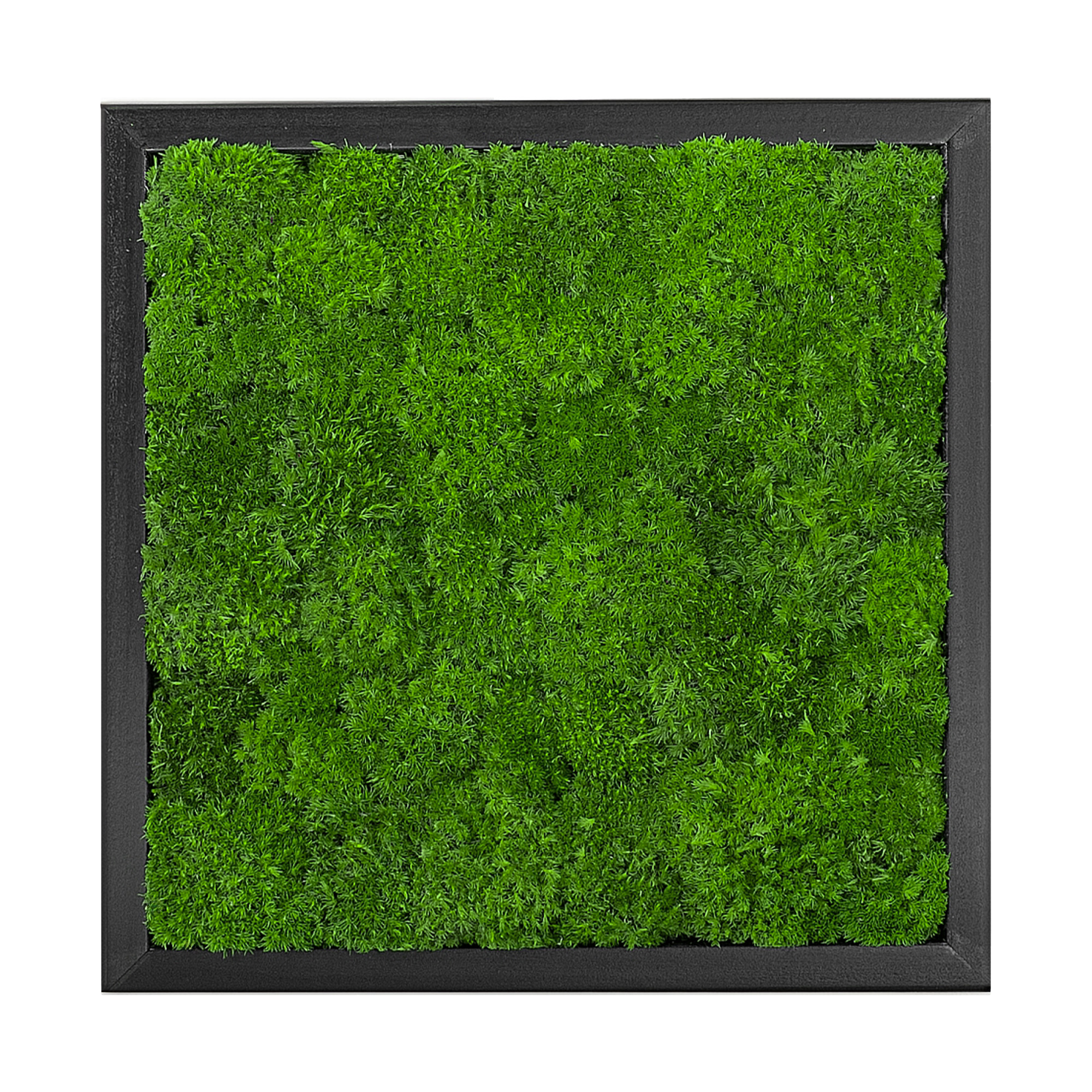 Wave_Design_35x35S_1_
