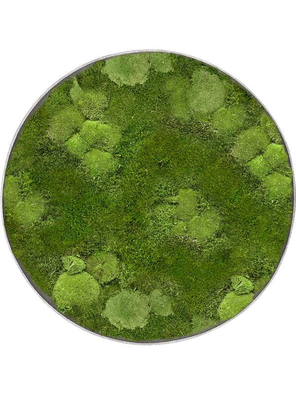 Moss Painting (5)