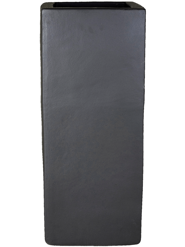 Plain (90)