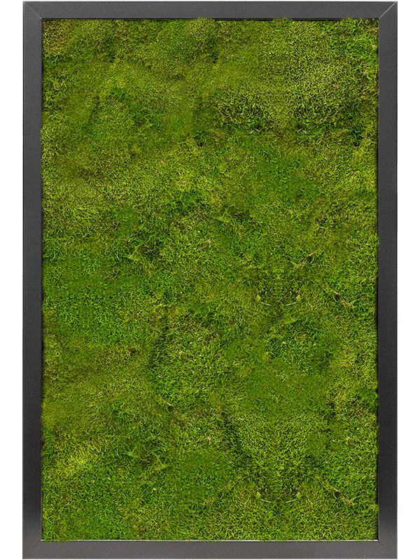 Moss Painting (6)