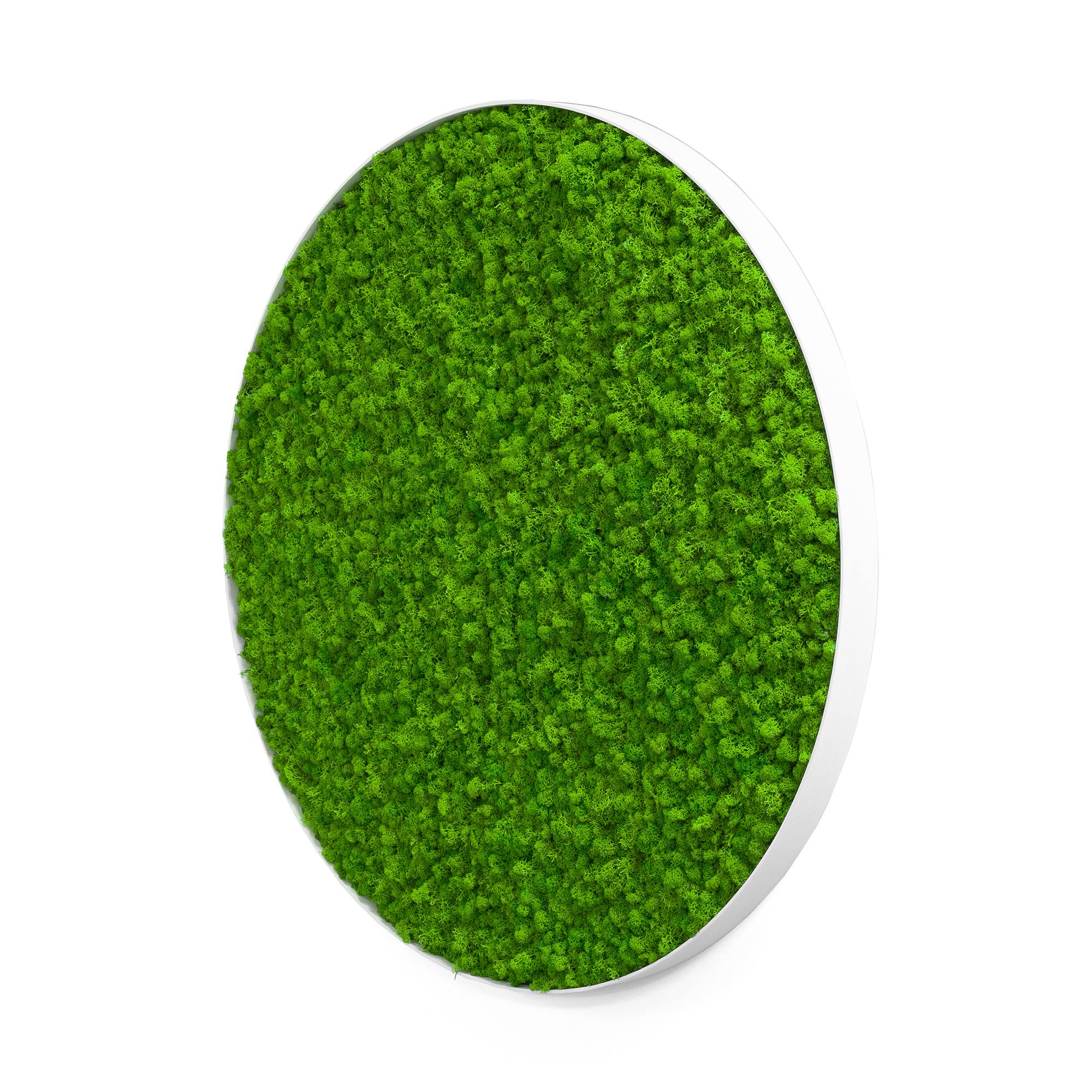 Rundes Moosbild Iceland Design (⌀90 cm, weiß)