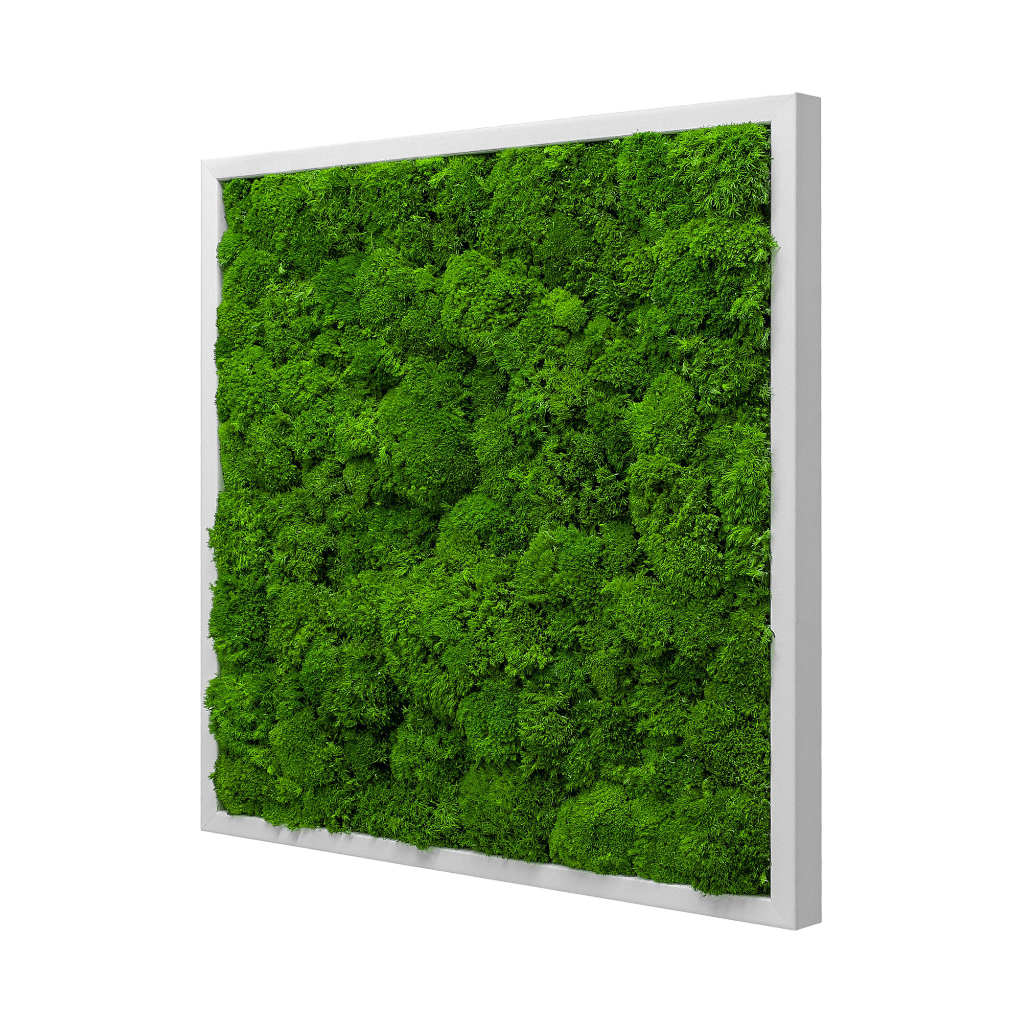 Wave_Design_55x55W_