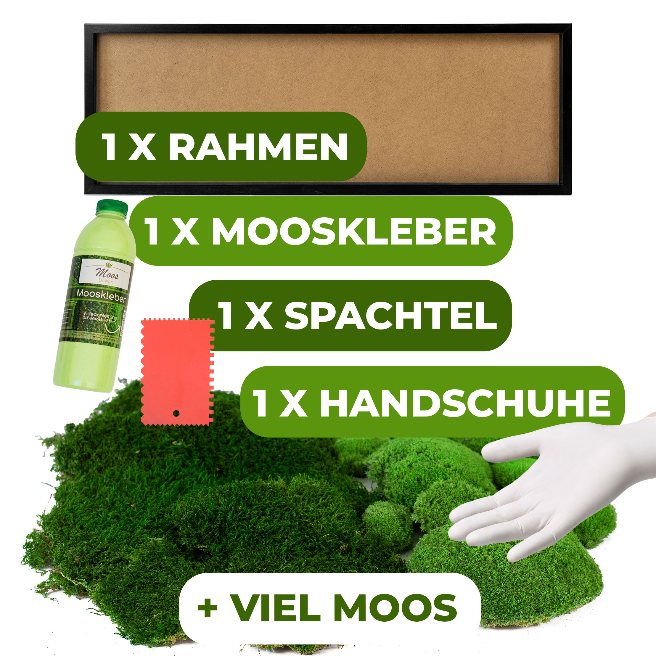 Moosbild DIY-Set
