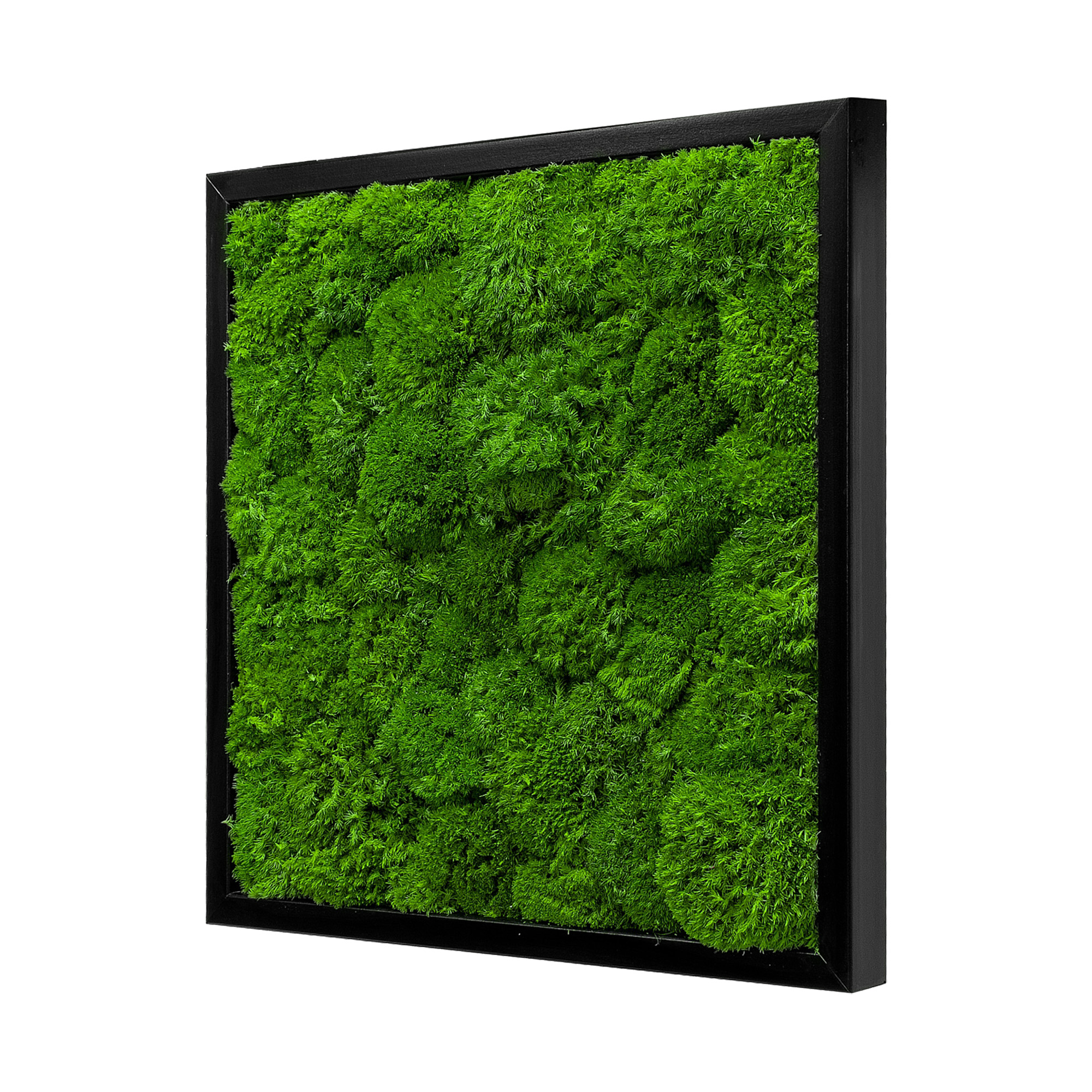 Wave_Design_45x45S_