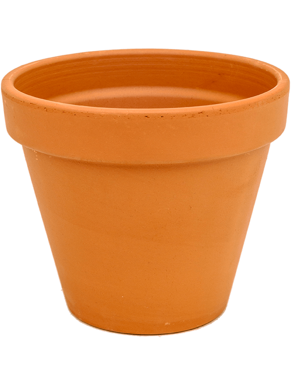 Terra Cotta (24)